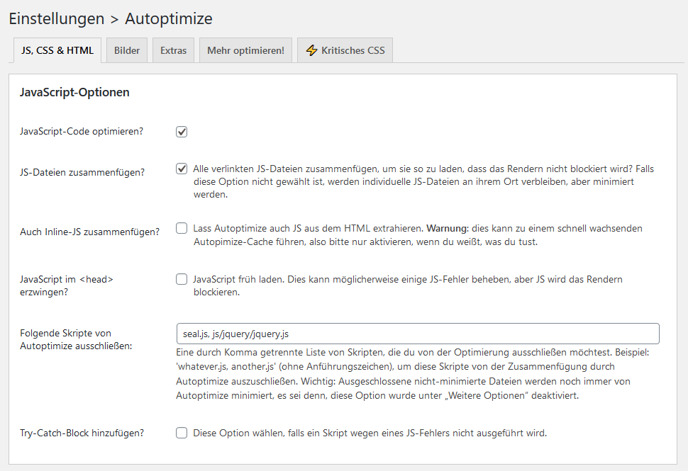 Page Speed verbessern - Autoptimize Einstellungen