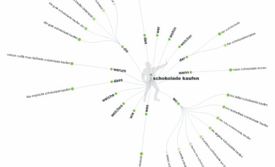 Keyword-Recherche mit Anwser the public