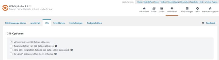 WP Optimize CSS Einstellungen